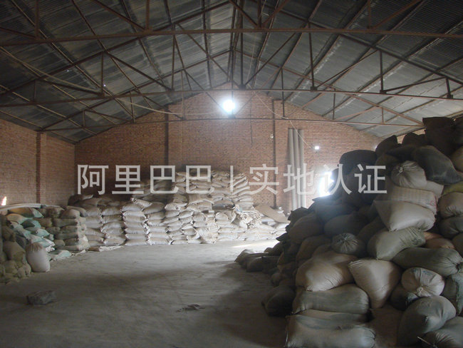 公司实景